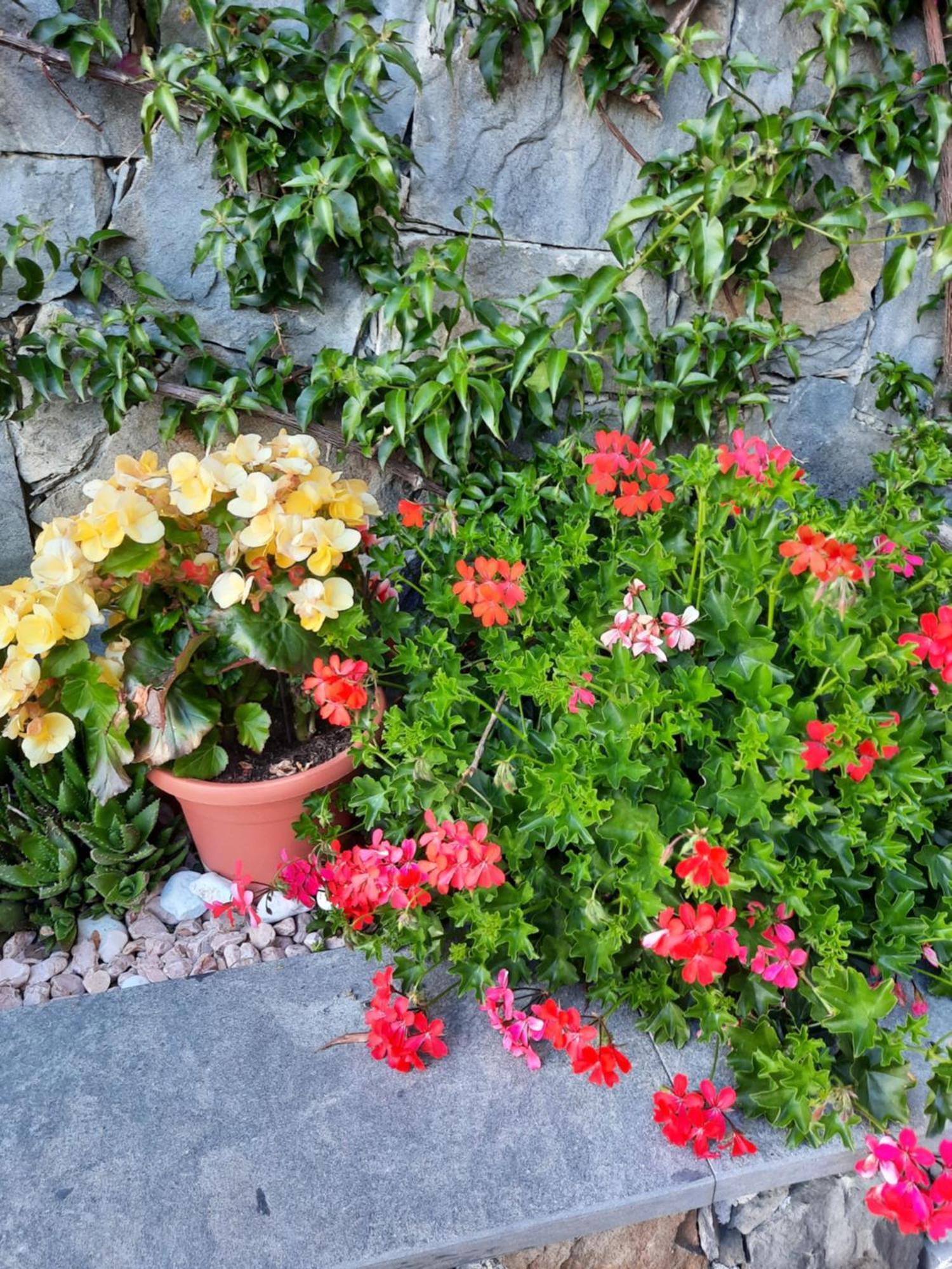 B&B Vignola เลวานโต ภายนอก รูปภาพ