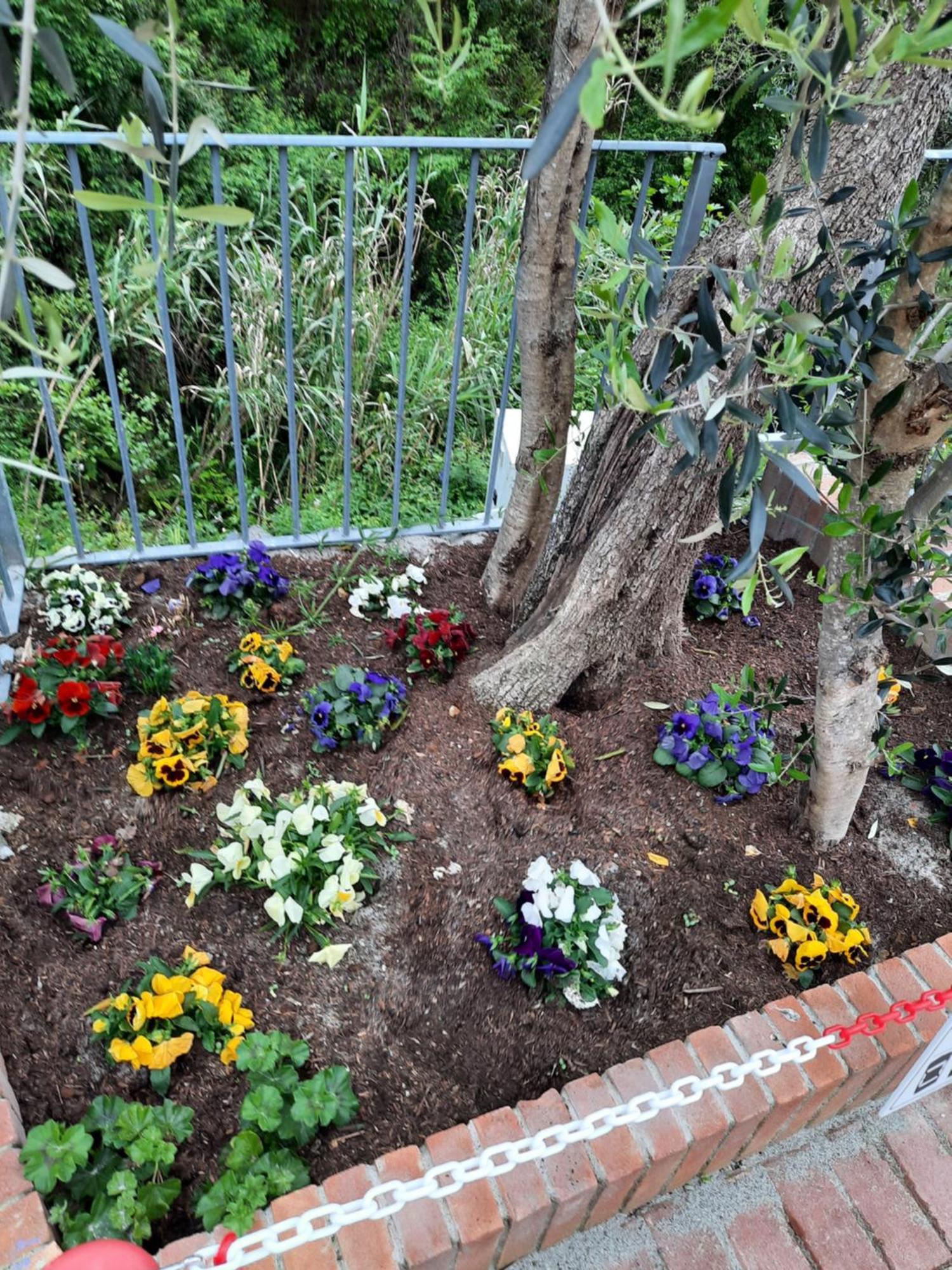 B&B Vignola เลวานโต ภายนอก รูปภาพ