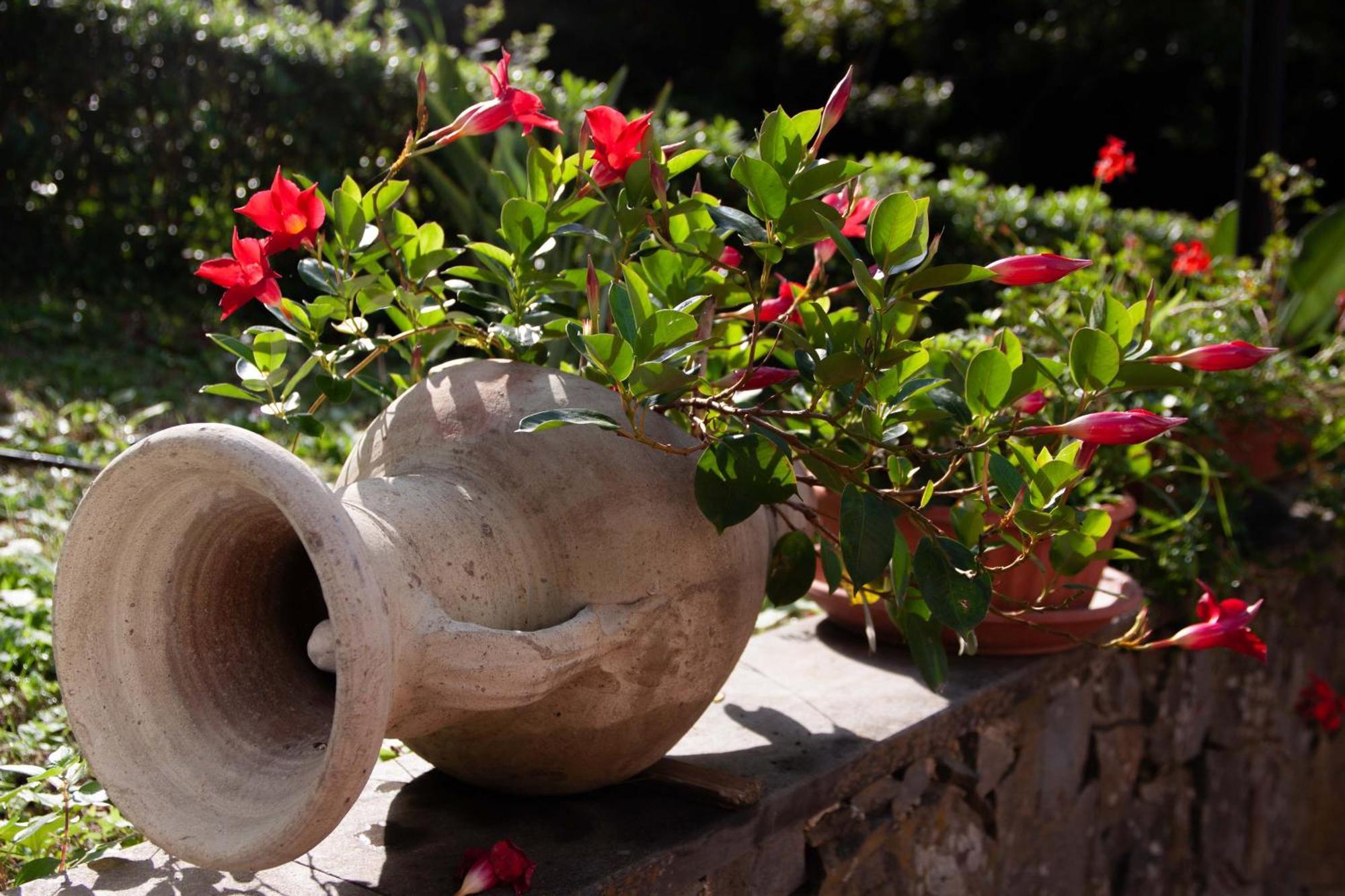 B&B Vignola เลวานโต ภายนอก รูปภาพ