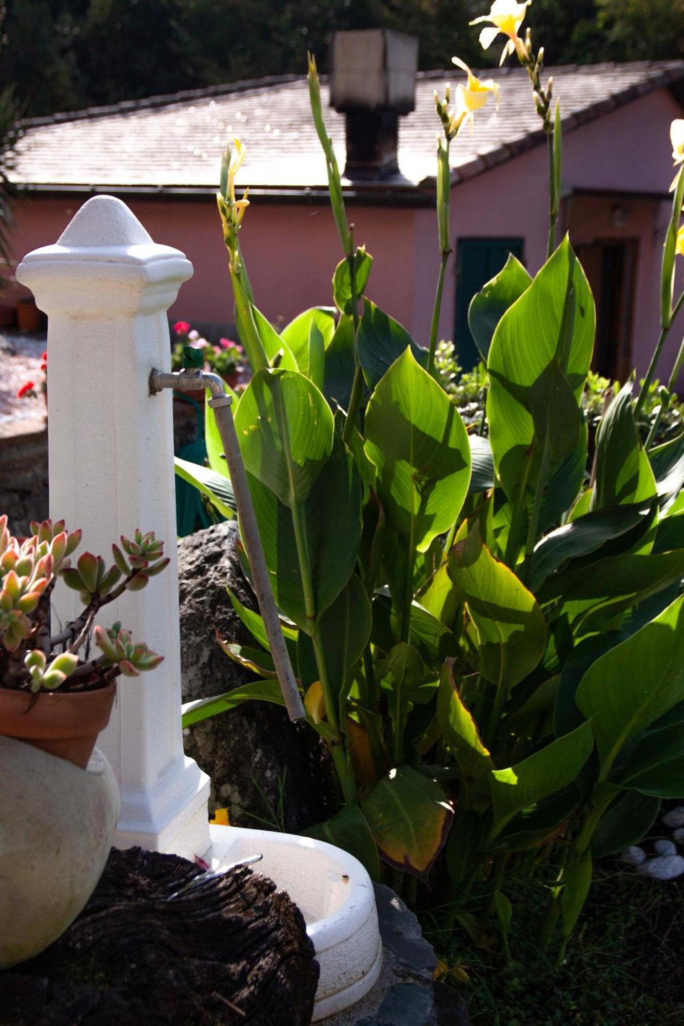 B&B Vignola เลวานโต ภายนอก รูปภาพ