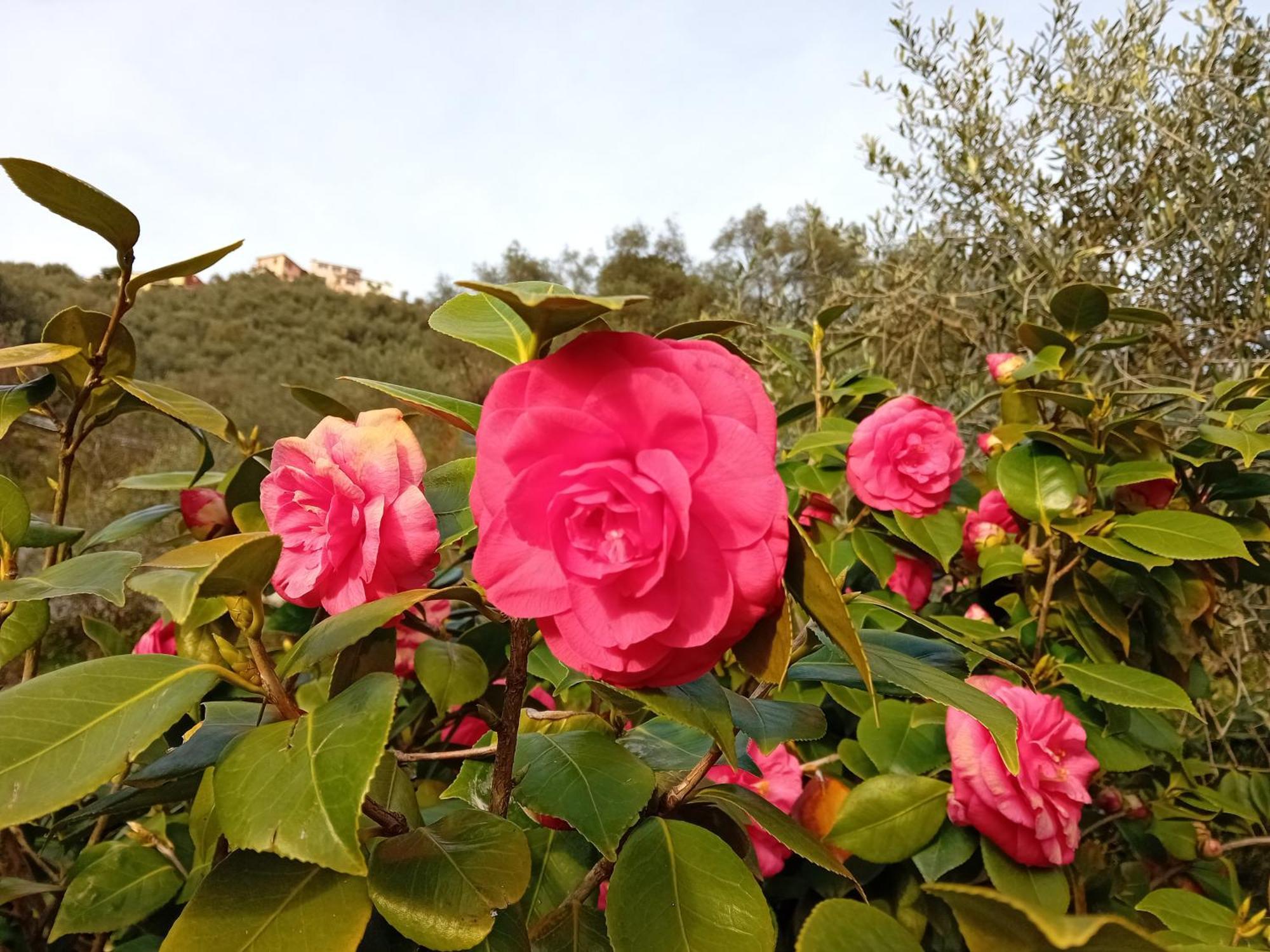 B&B Vignola เลวานโต ภายนอก รูปภาพ